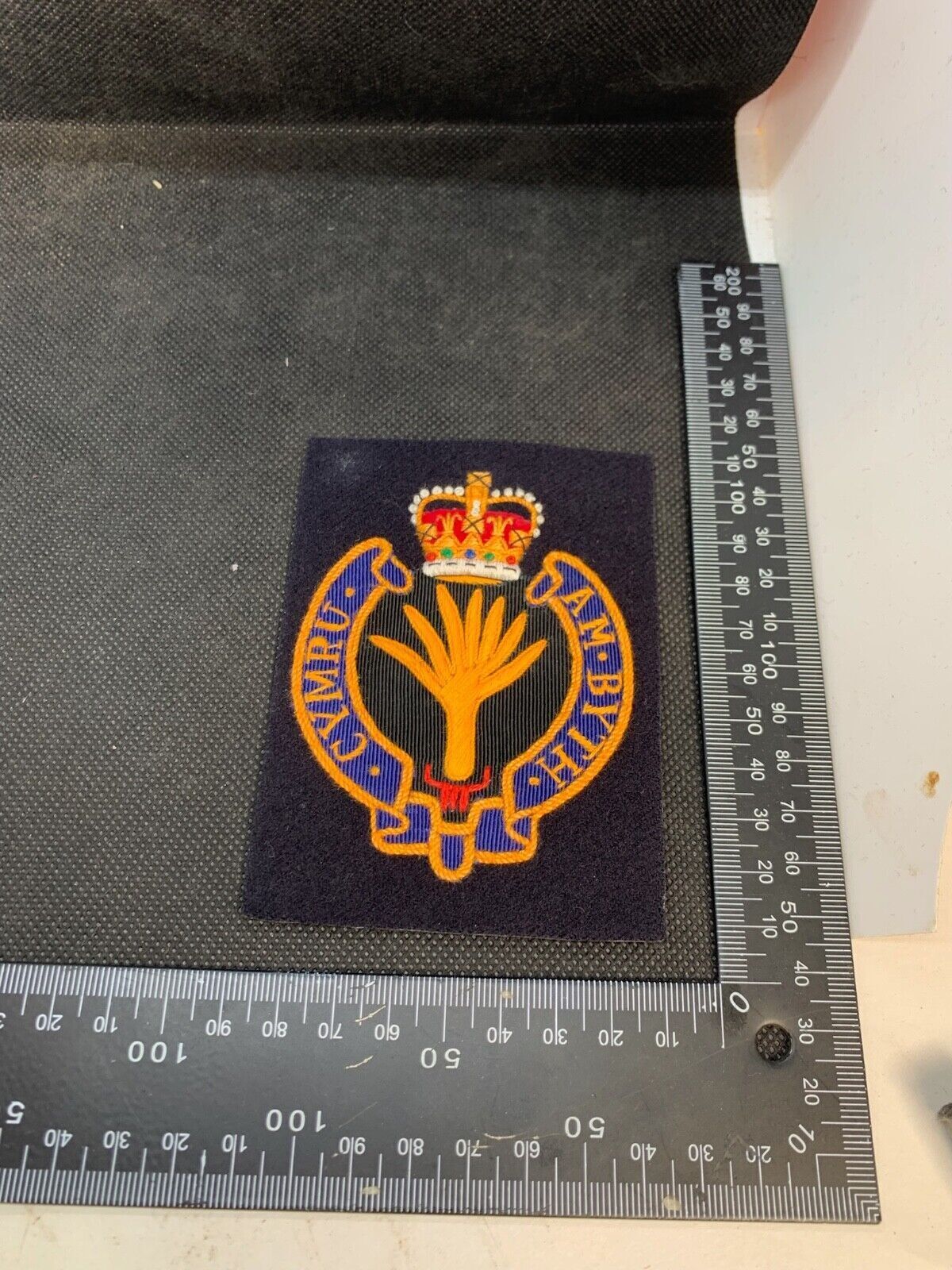 British Army Welsh Guards Regiment Embroidered Blazer Badge - The Militaria Shop
