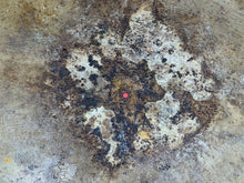 Load image into Gallery viewer, Original WW2 Combat Helmet - British / South African Army Mk2 Brodie Helmet - The Militaria Shop