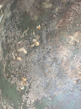 Load image into Gallery viewer, Image #12