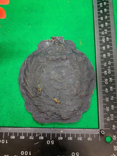 Charger l'image dans la galerie, British Army Royal Engineers Embroidered Blazer Badge - The Militaria Shop