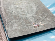 Lade das Bild in den Galerie-Viewer, British Army Bullion Embroidered Blazer Badge - Queen's Own Highland Regime - The Militaria Shop