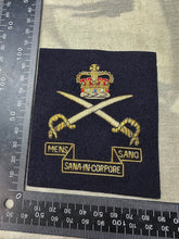Load image into Gallery viewer, British Army Bullion Embroidered Blazer Badge - Army Physical Training Corps - The Militaria Shop