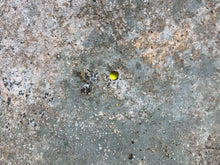 Load image into Gallery viewer, Original WW2 Combat Helmet - British / South African Army Mk2 Brodie Helmet - The Militaria Shop