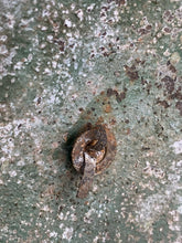 Lade das Bild in den Galerie-Viewer, Image #9