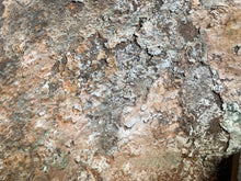 Load image into Gallery viewer, Image #11