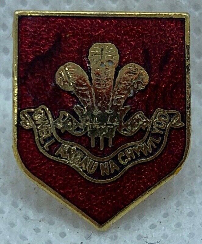 Welsh Regiment - NEW British Army Military Cap/Tie/Lapel Pin Badge #137 - The Militaria Shop