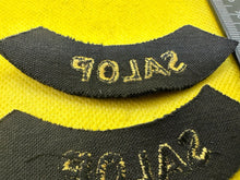 Load image into Gallery viewer, Original WW2 British Home Front Civil Defence Salop Shoulder Titles - The Militaria Shop