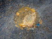 Load image into Gallery viewer, Original WW2 South African Army Mk2 Brodie Helmet - British Style Combat Helmet - The Militaria Shop