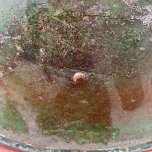 Load image into Gallery viewer, Image #10