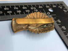 Load image into Gallery viewer, Image #6