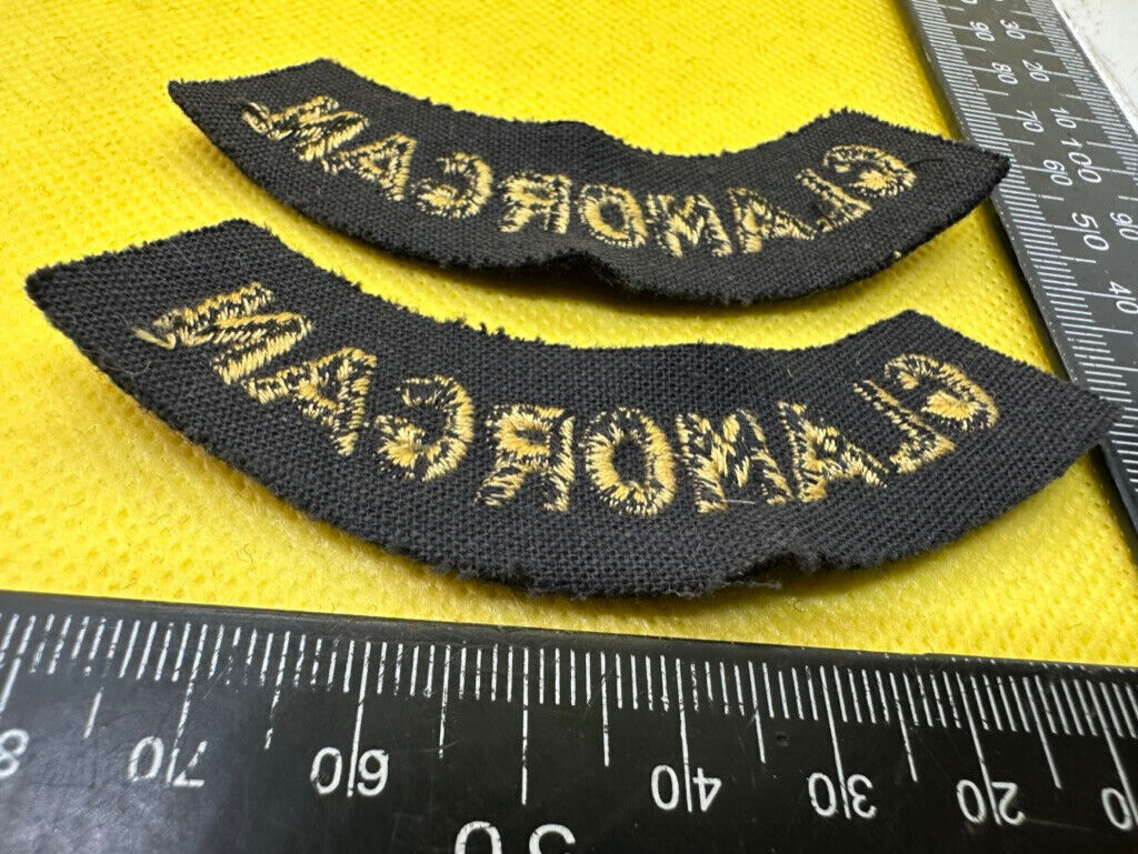 Original WW2 British Home Front Civil Defence Glamorgan Shoulder Titles - The Militaria Shop