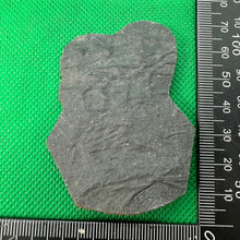 Charger l'image dans la galerie, British Army Pay Corps Kings Crown Cap / Beret / Collar / Blazer Badge - UK Made - The Militaria Shop