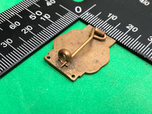 Load image into Gallery viewer, Teddy Tail League - Daily Mail - Enamel Pin Badge - The Militaria Shop