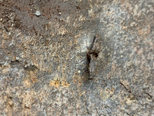 Load image into Gallery viewer, Original WW2 Combat Helmet - British / South African Army Mk2 Brodie Helmet - The Militaria Shop