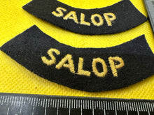 Load image into Gallery viewer, Original WW2 British Home Front Civil Defence Salop Shoulder Titles - The Militaria Shop