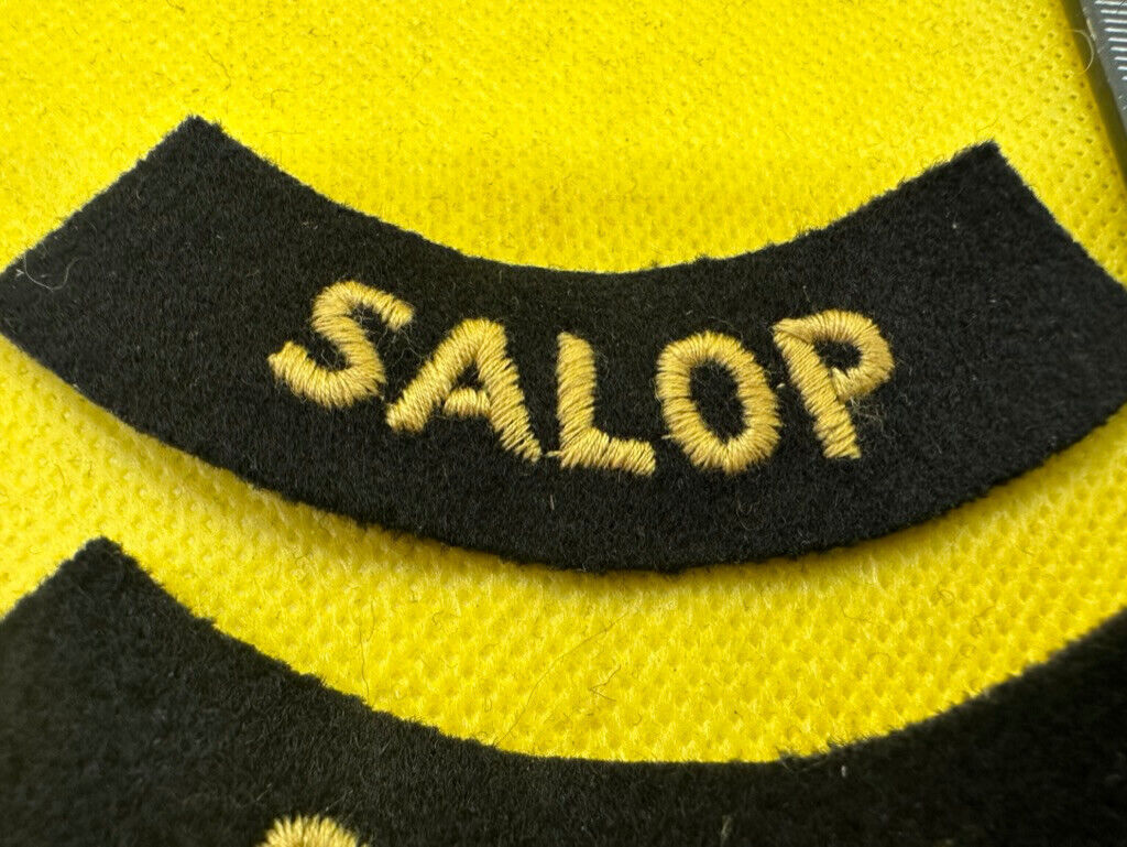 Original WW2 British Home Front Civil Defence Salop Shoulder Titles - The Militaria Shop