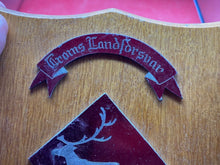 Charger l'image dans la galerie, Original British Army - Army Land Forces - Exercise Arctic Express Wall Plaque - The Militaria Shop