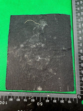 Charger l'image dans la galerie, British Army The Royal Regiment Embroidered Blazer Badge - The Militaria Shop