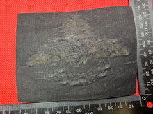 Load image into Gallery viewer, British Royal Navy Bullion Embroidered Blazer Badge - Fleet Air Arm- Kings Crown - The Militaria Shop