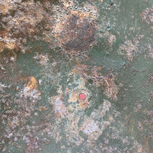 Load image into Gallery viewer, Image #12