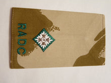 Charger l'image dans la galerie, DPM Rank Slides / Epaulette Pair Genuine British Army - RADC Dental Corps - The Militaria Shop