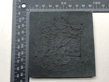 Load image into Gallery viewer, British Army Bullion Embroidered Blazer Badge - Devonshire & Dorset Regiment - The Militaria Shop