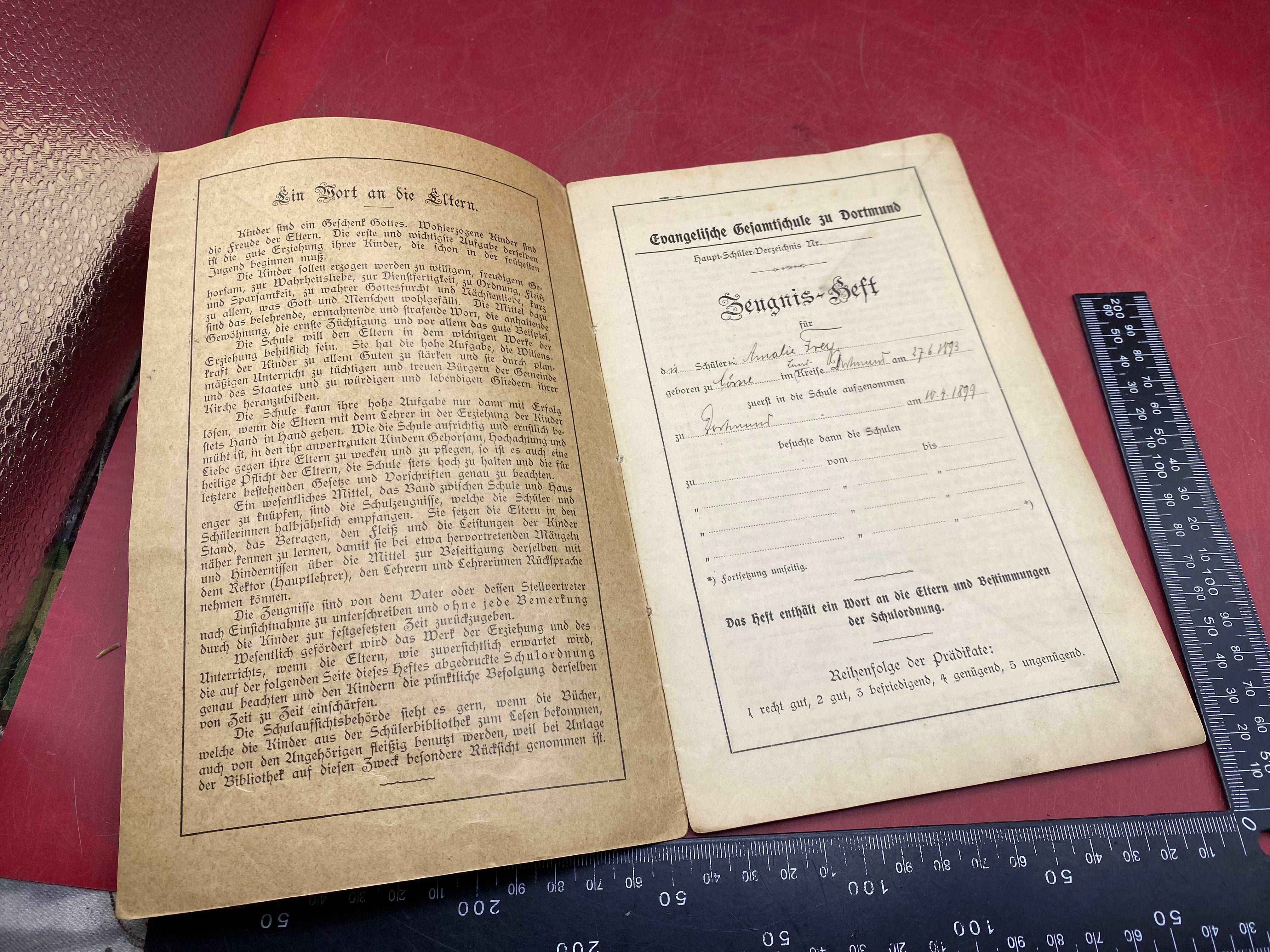 1906 Dated German Family Tree / Heritage Booklet. 1900 - 1906. - The Militaria Shop