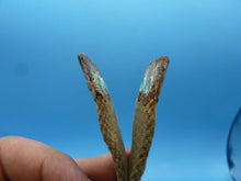 Load image into Gallery viewer, Original WW2 British Army Shoulder Strap - 37 Pattern Webbing - The Militaria Shop