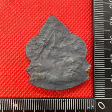 Charger l'image dans la galerie, British Army Kings Liverpool / Manchester Cap / Beret / Blazer Badge - UK Made - The Militaria Shop