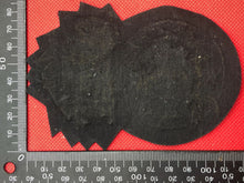 Load image into Gallery viewer, British Army Bullion Embroidered Blazer Badge - Royal Northumberland Fusiliers - The Militaria Shop