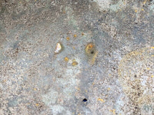 Load image into Gallery viewer, Original WW2 British Army South African Made Combat Helmet Mk2 Brodie - The Militaria Shop