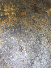 Load image into Gallery viewer, WW2 Canadian / British Army Mk3 Turtle Helmet Original - The Militaria Shop