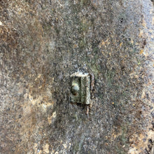 Load image into Gallery viewer, Image #14