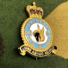 Load image into Gallery viewer, Genuine British RAF 35 Squadron Royal Air Force Lapel Pin Badge - The Militaria Shop