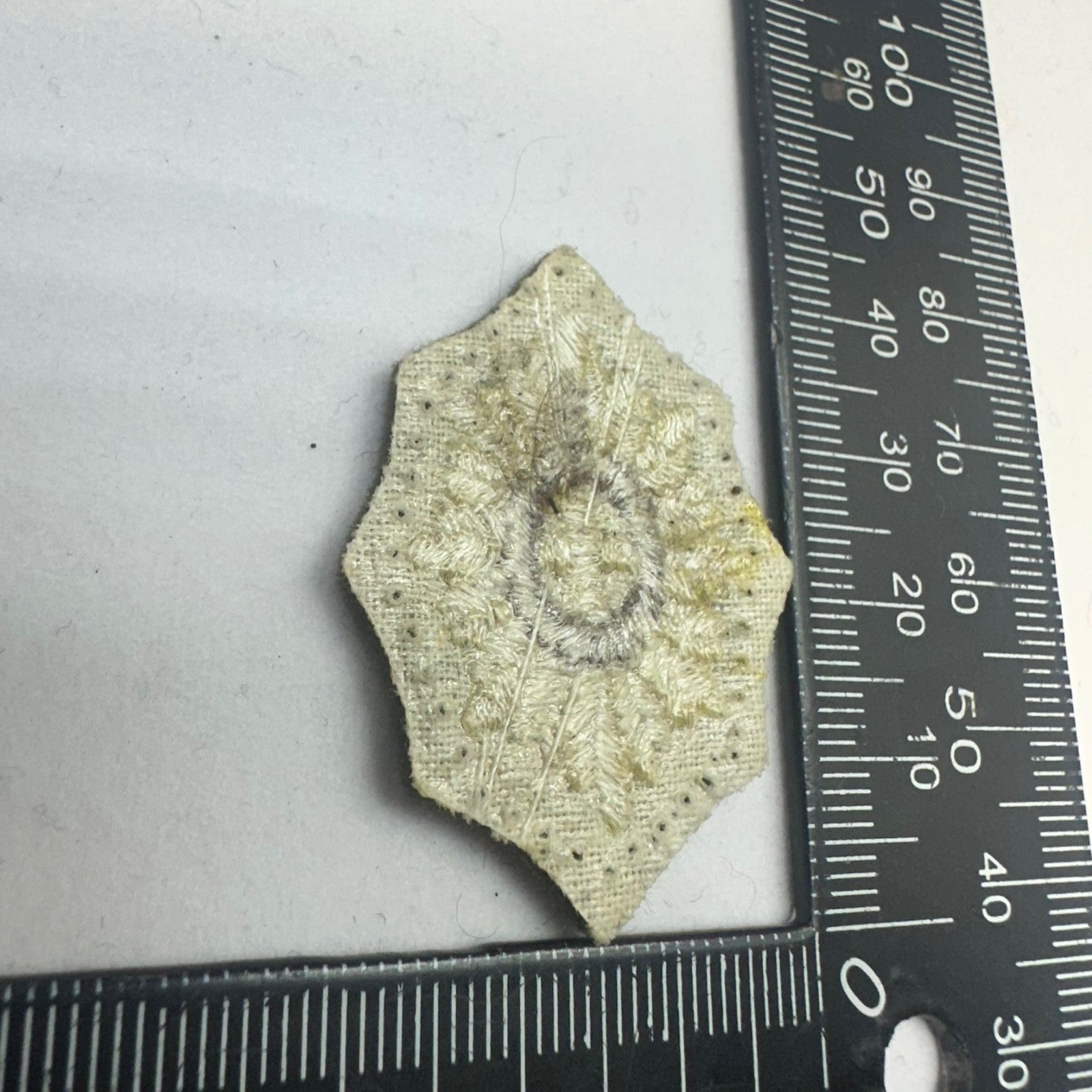 Image #5
