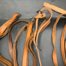 Charger l'image dans la galerie, Image #5