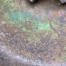 Charger l'image dans la galerie, Image #15