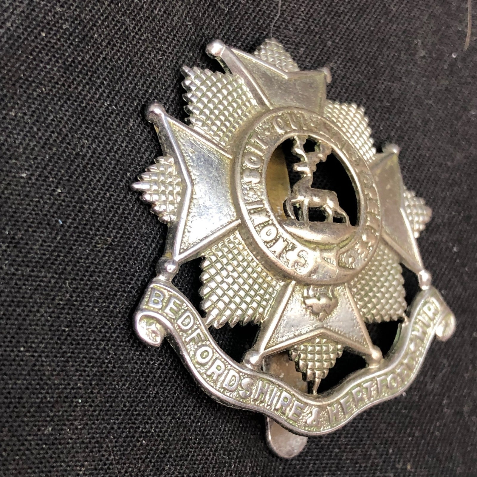 Original WW2 British Army Cap Badge - Bedfordshire and Hertfordshire Regiment - The Militaria Shop