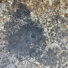 Charger l'image dans la galerie, Image #13