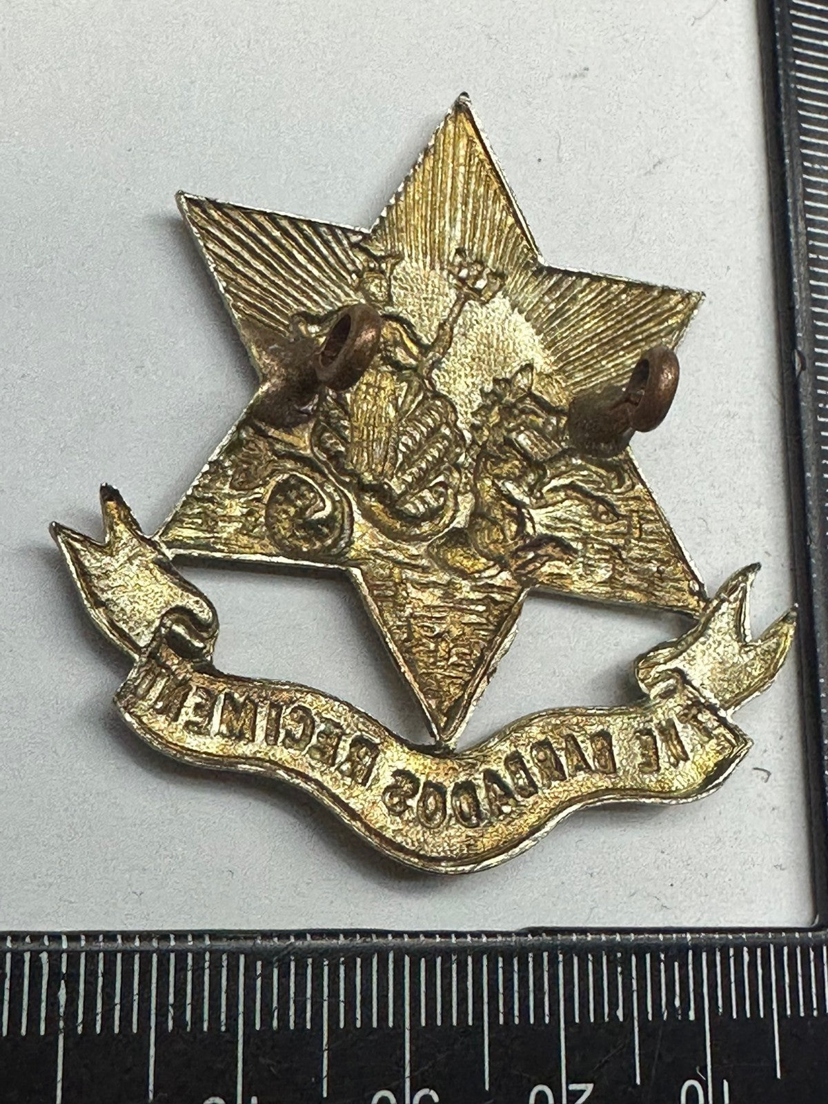 Image #5