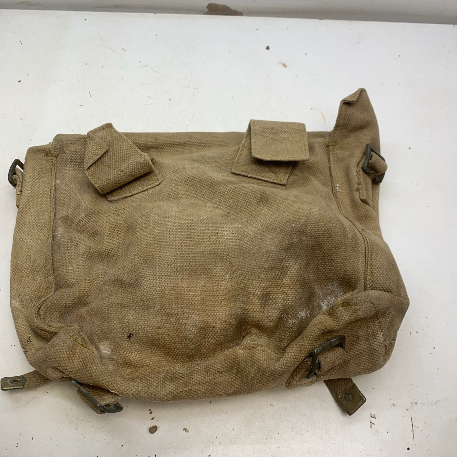 Image #12