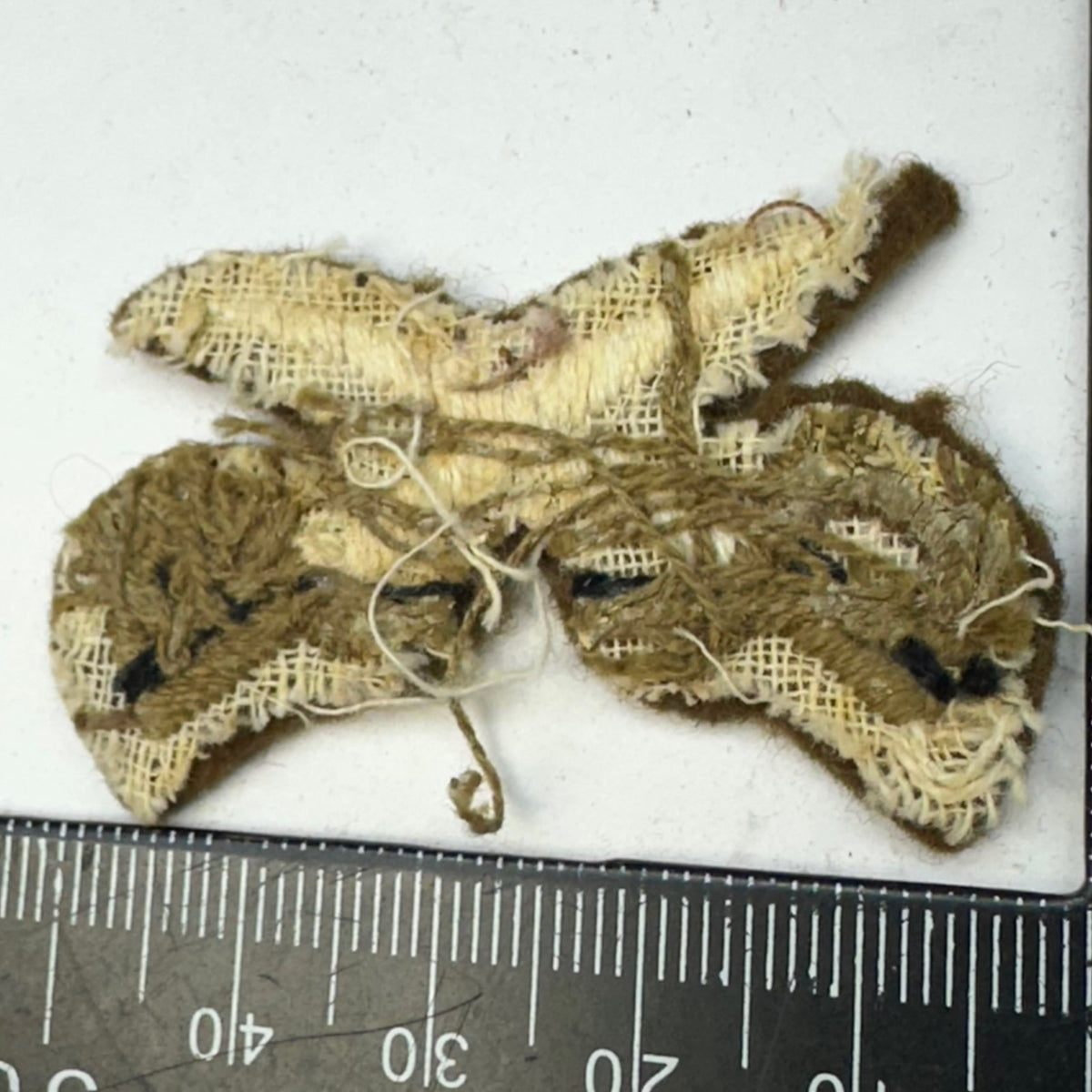 Image #6