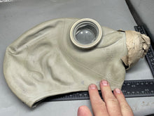 Charger l'image dans la galerie, Image #5