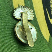 Charger l'image dans la galerie, Image #6