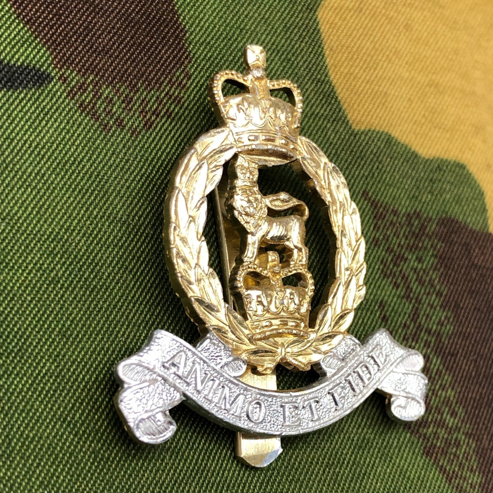 Original British Staybrite Army Cap Badge - Adjutant General's Corps - The Militaria Shop