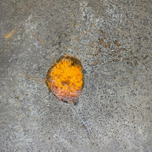 Load image into Gallery viewer, Original WW2 British/Canadian Army Mk3 "Turtle" Combat Helmet - The Militaria Shop