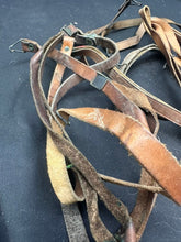 Charger l'image dans la galerie, Image #18