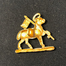 Charger l'image dans la galerie, Image #5