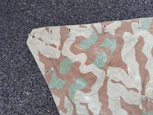 Charger l'image dans la galerie, Image #5