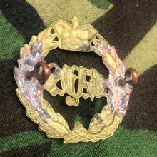 Load image into Gallery viewer, Original Pre-WW1 British Army 2nd Dragoon Guards (Queen's Bays) Cap Badge - The Militaria Shop